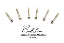 Callaham Hardened Tremolo Mounting Screws