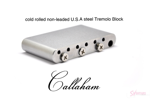 callaham-mexican-strat-3.jpg