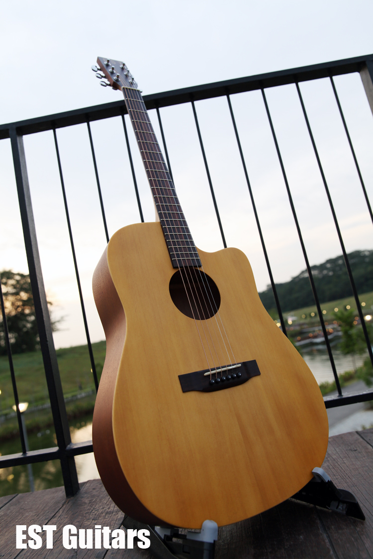 EST DS 1500C Acoustic Guitar W Cutaway SV Guitars