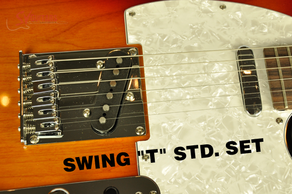 swing-t1-3.jpg